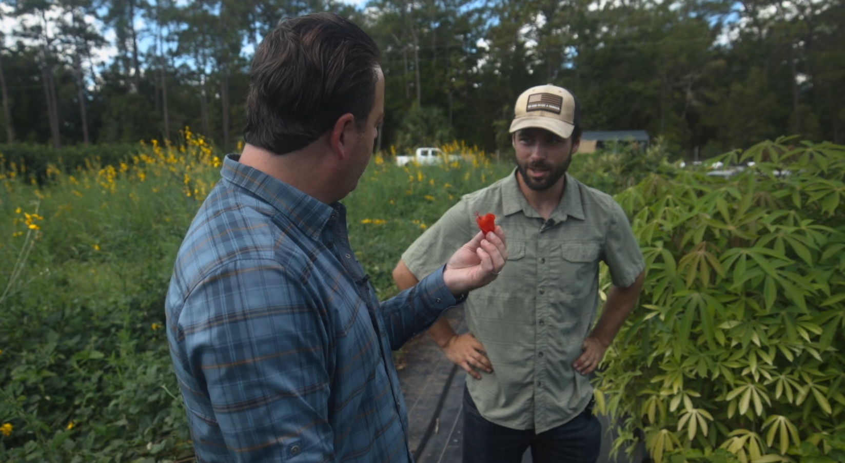 Florida farm teaches families to grow edible landscapes as grocery prices climb