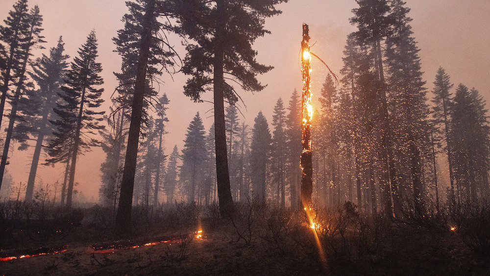 Resources stretched thin for firefighters battling historic wildfires