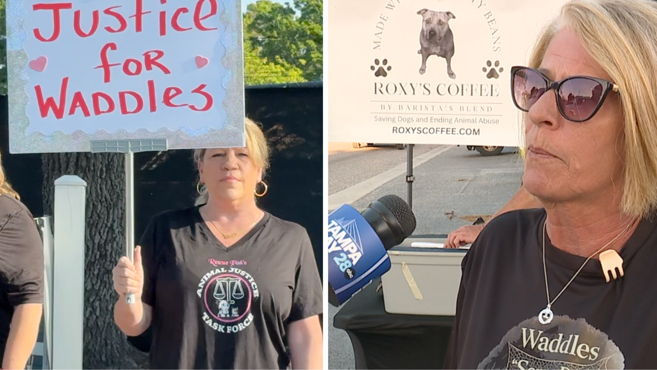 Thumbnail Templates (25).png