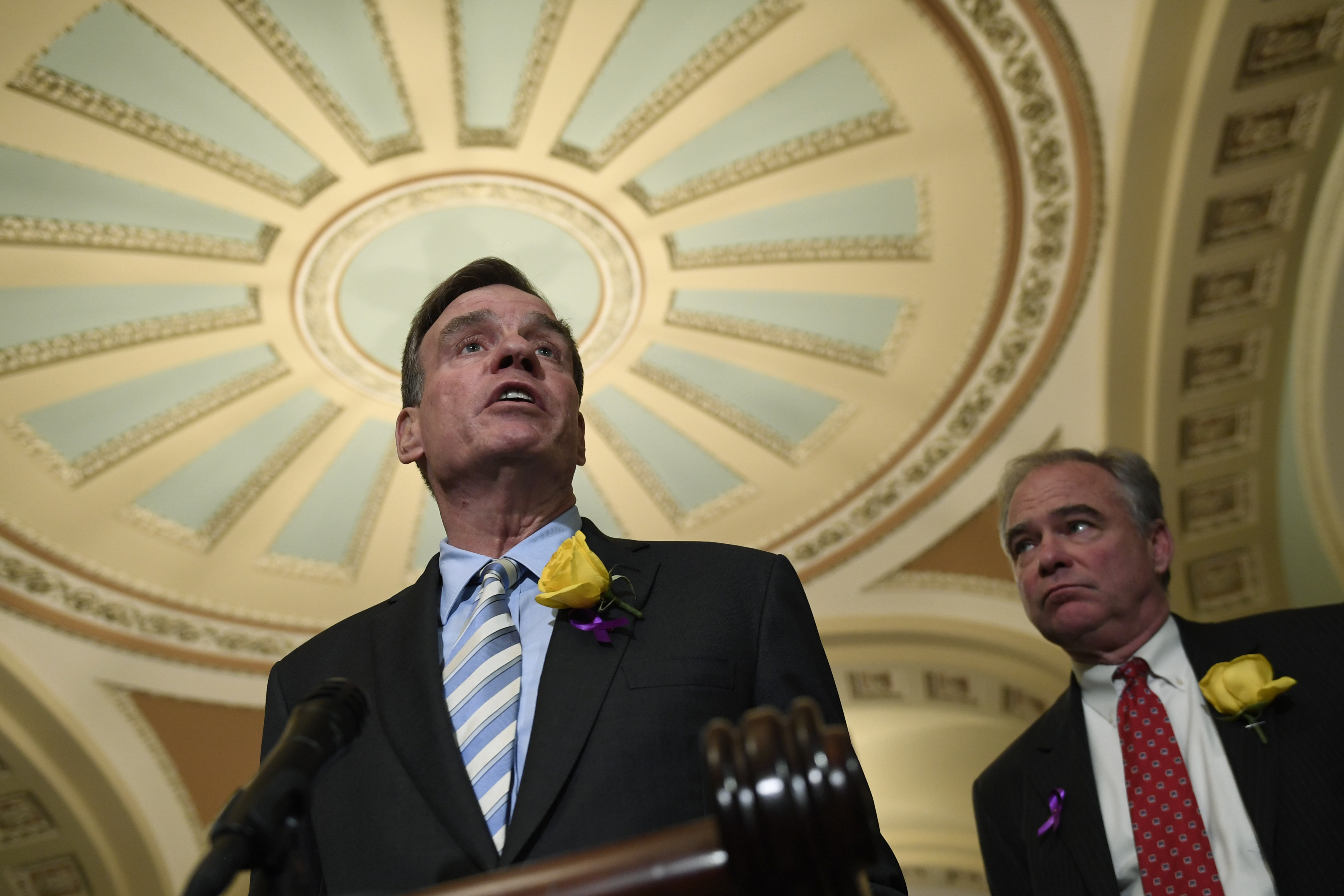 Mark Warner, Tim Kaine