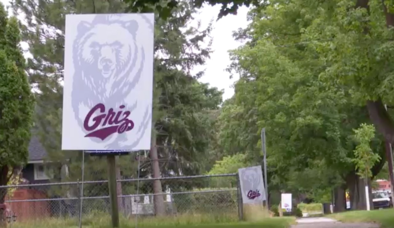 griz kits