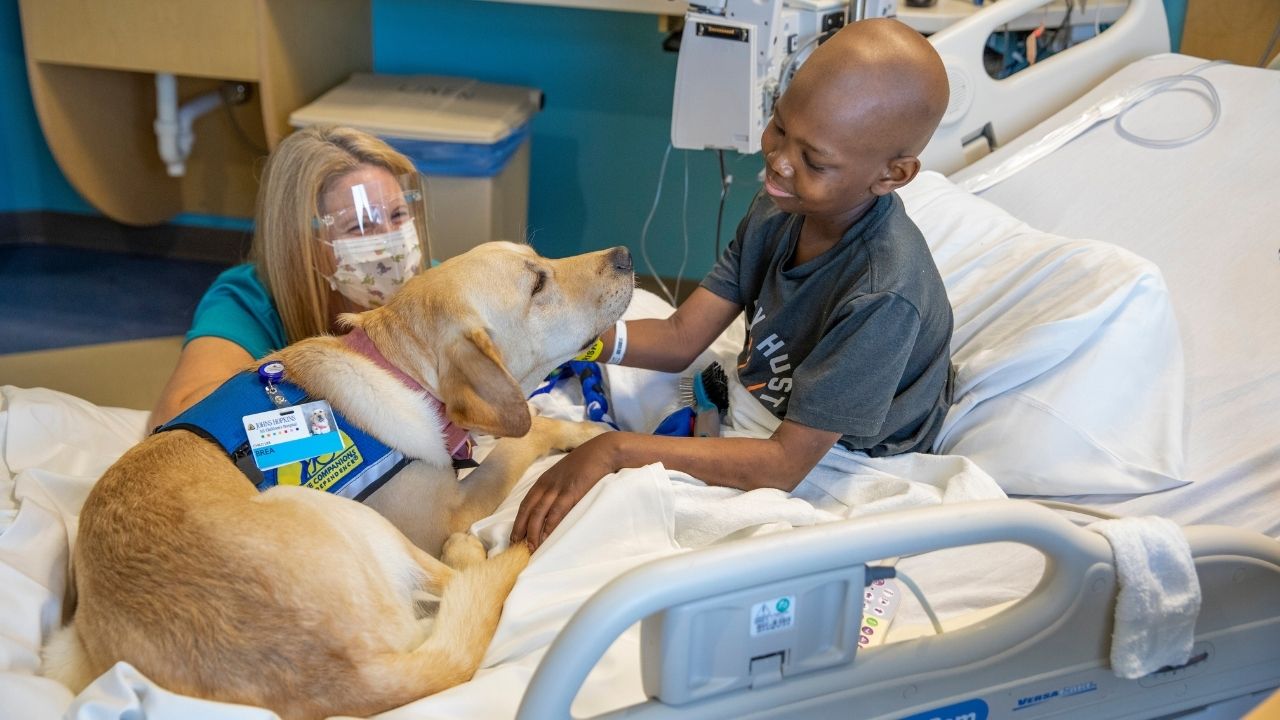 Johns Hopkins All Children’s Hospital Brea.jpg