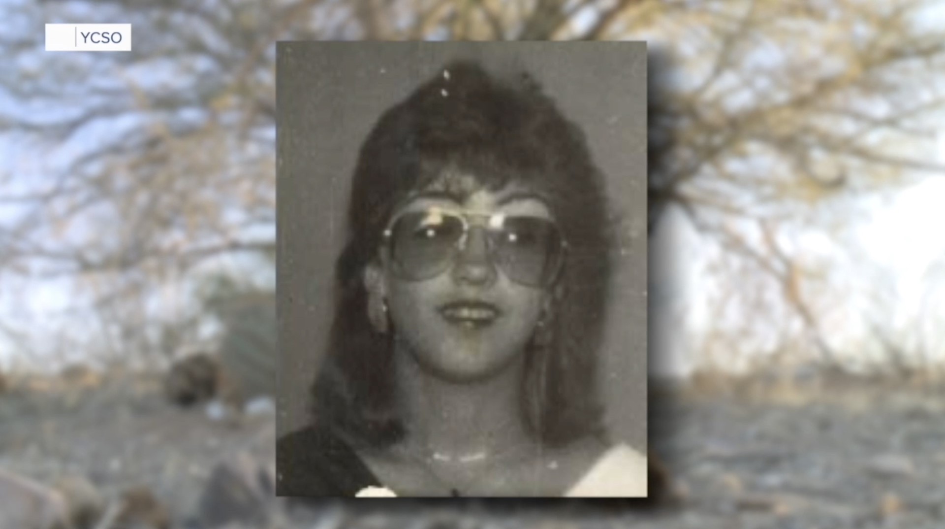 Lisa Marie Wingo.jpg