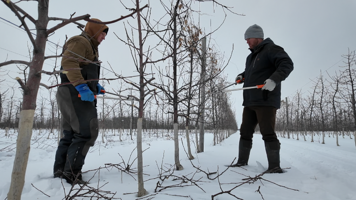 Screenshot 2026-02-05 at 5.09.23 PM.png