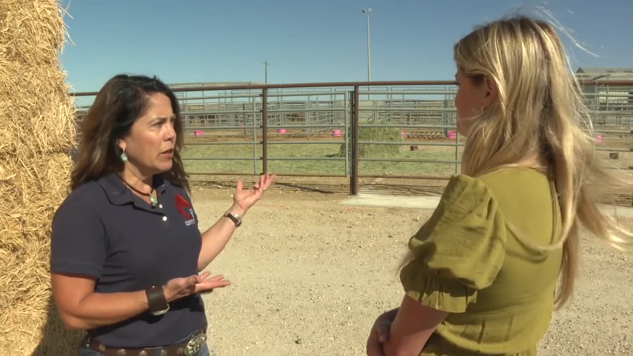 BLM showing Idaho News 6 the Boise Wild Horse Corrals