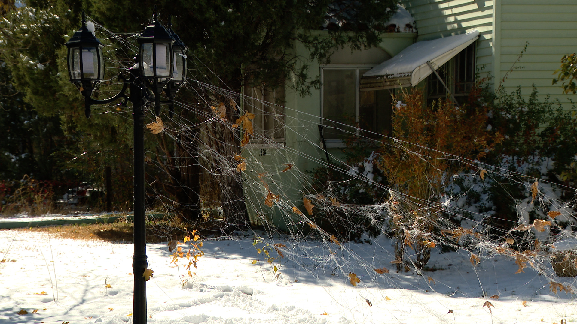 Haunted Houses permits