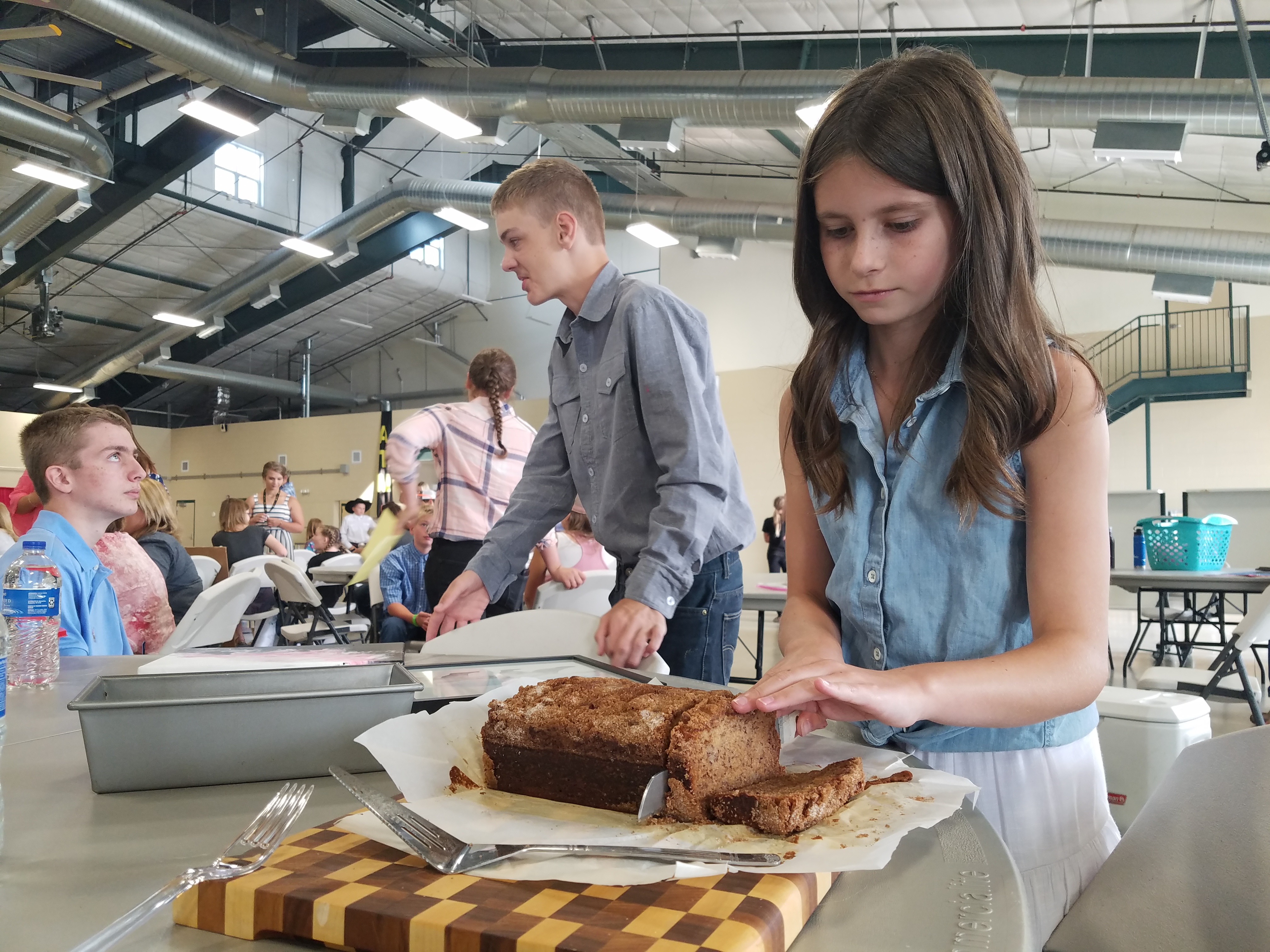 Members show how 4-H is much more than just animals - Vimarsana News