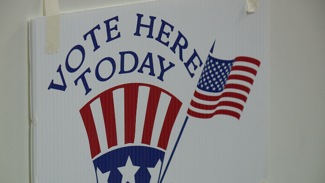 Bipartisan town hall discusses steps to ensure election security in Michigan