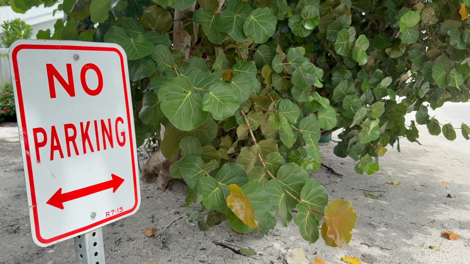 noparking.jpg