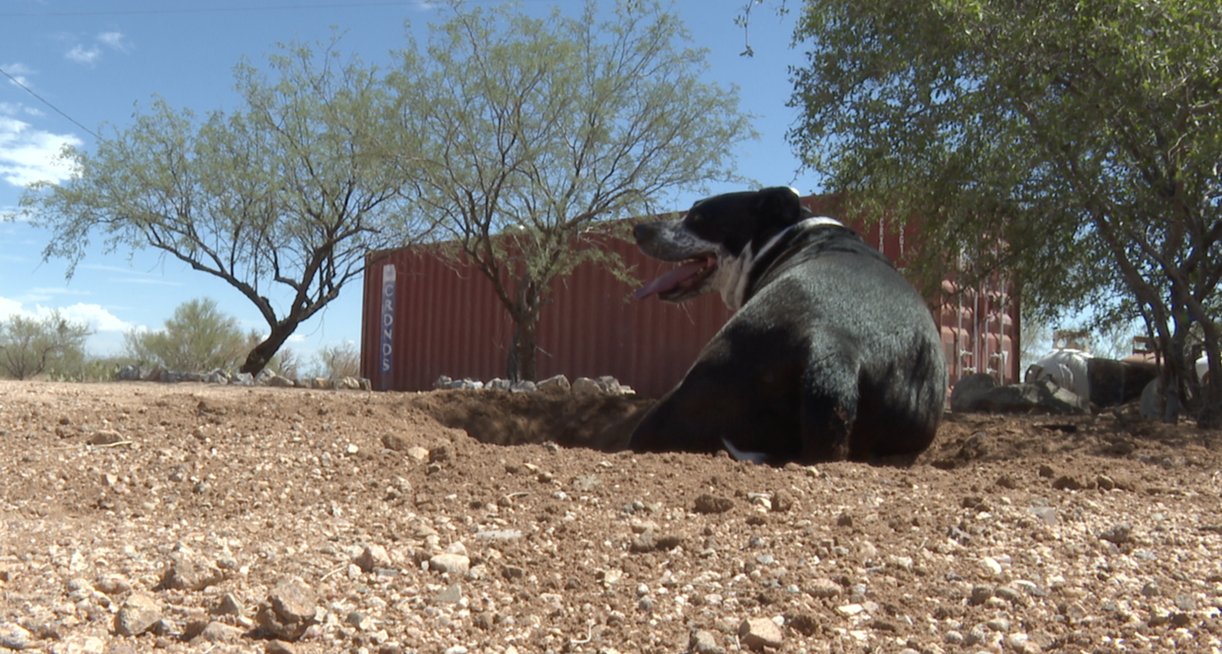 Sahuarita man challenges Pima County rule on shipping containers
