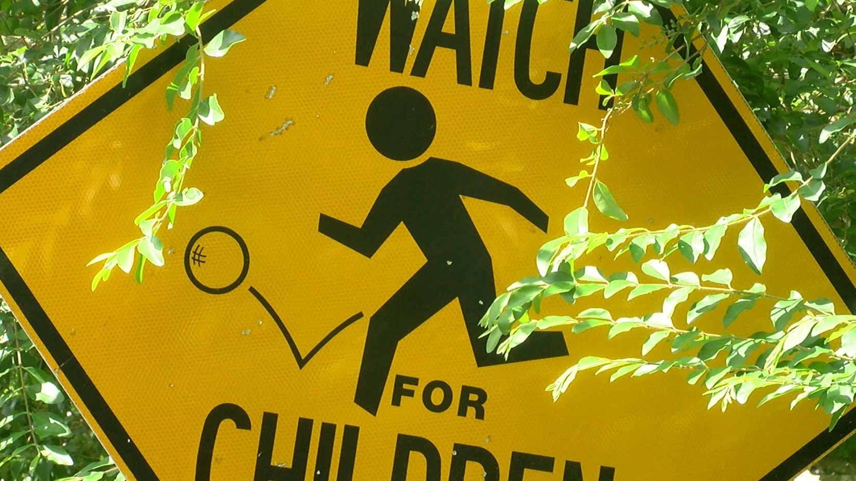 watchforchildren.JPG