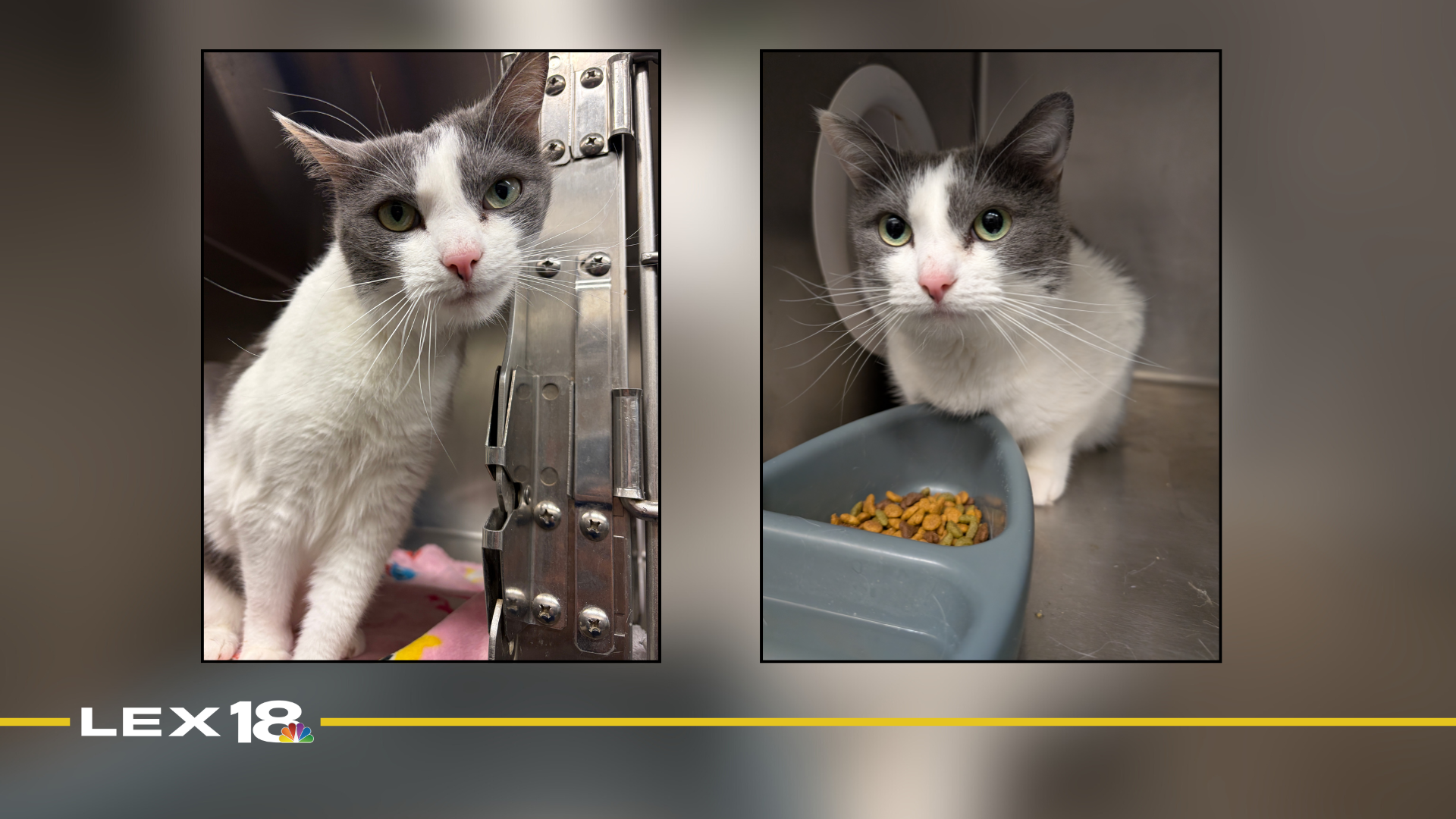 Featured Image Custom Edit (6).png