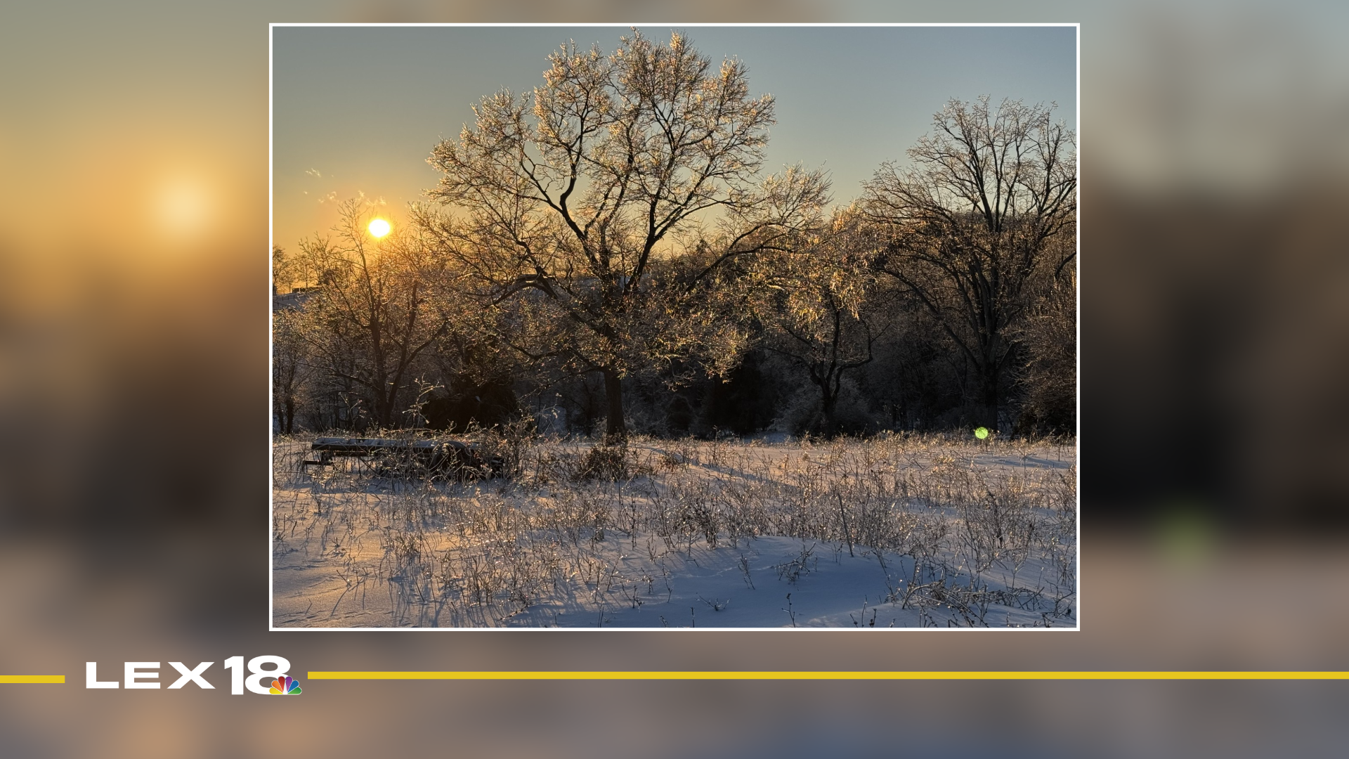 Mug Shot of the Week: Ethan Curd