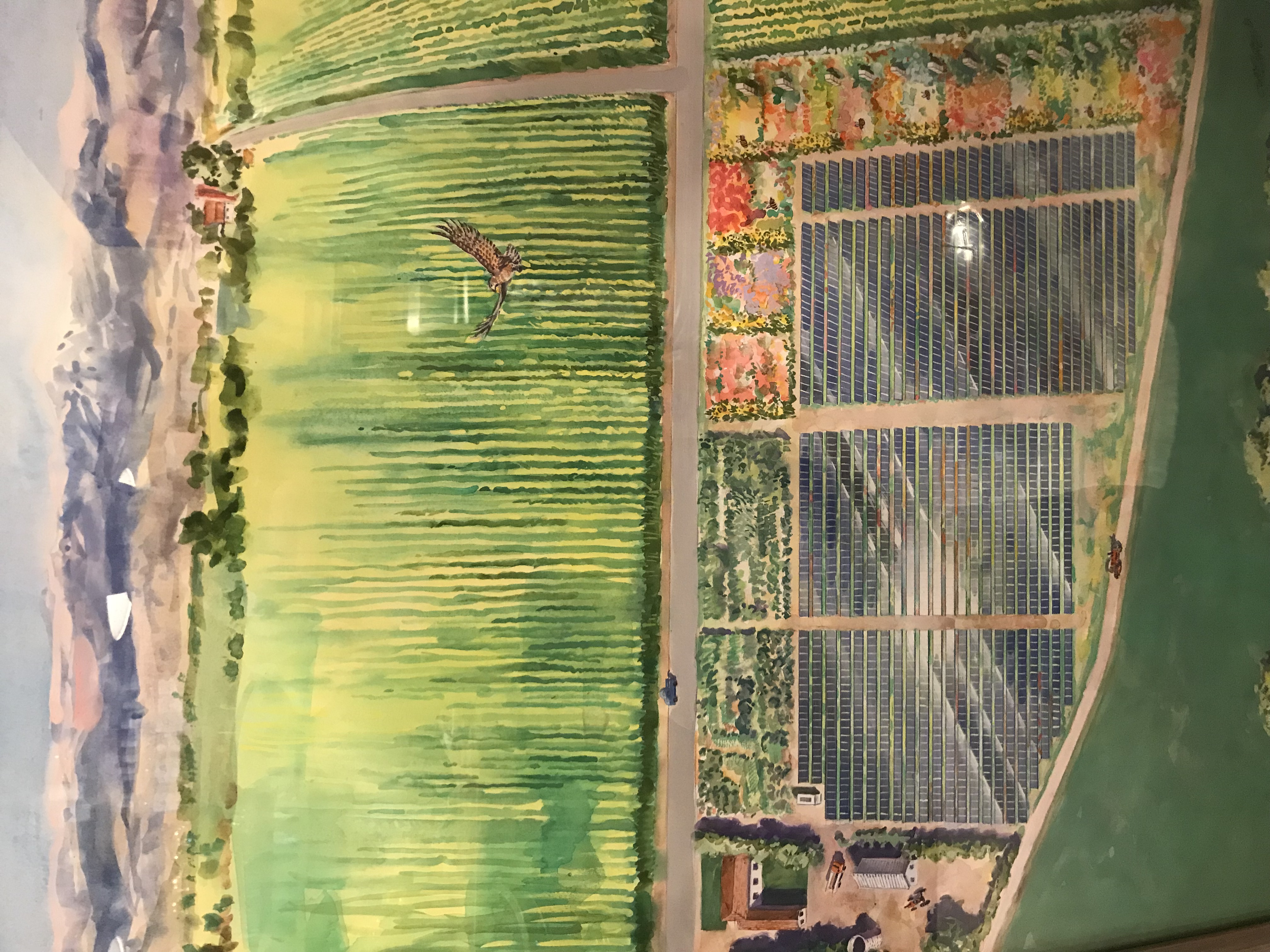 jack solar garden_jeff slemons.jpg