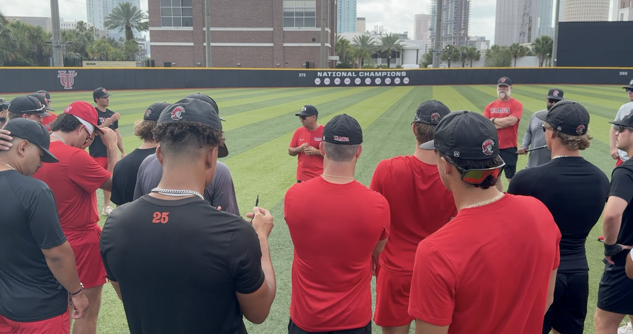 UT Baseball.png