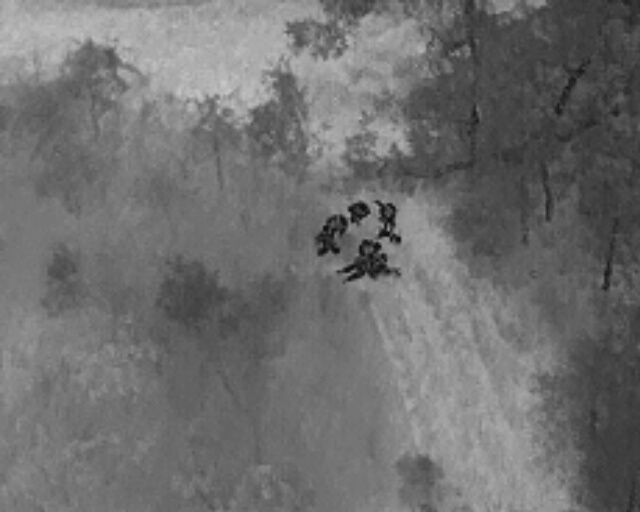 suspects caught.jpg