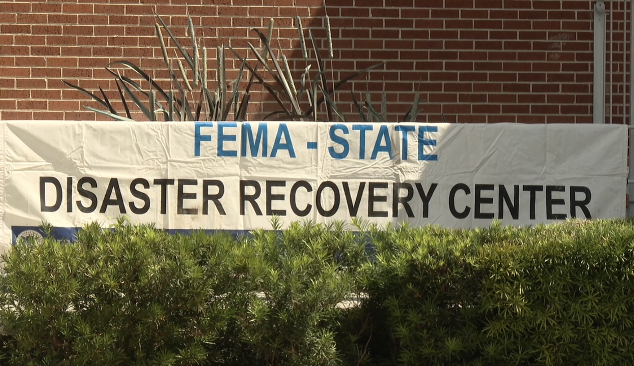 FEMA THUMB.jpg