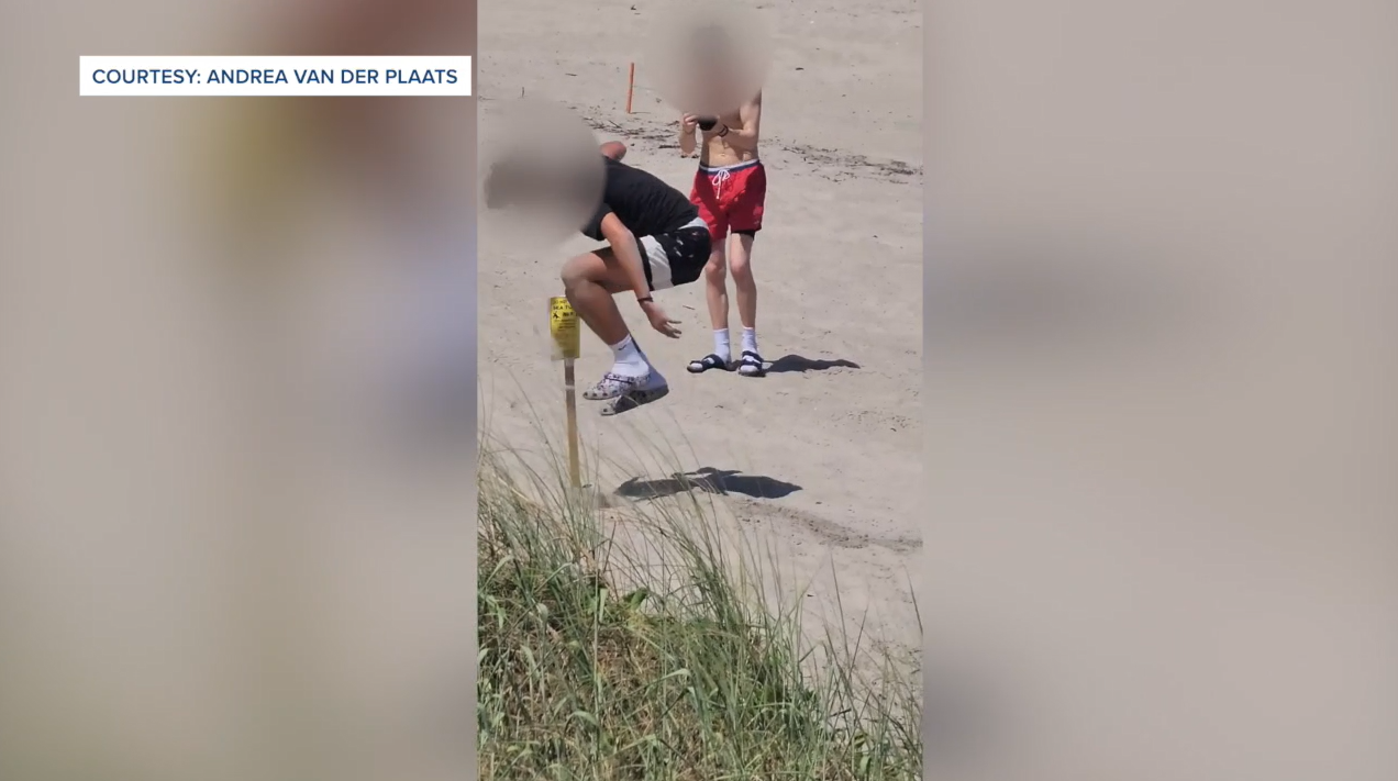 Video shot by Lt. Andrea Van Der Plaats with Palm Beach County Ocean Rescue shows two men tampering with a sea turtle nest.PNG