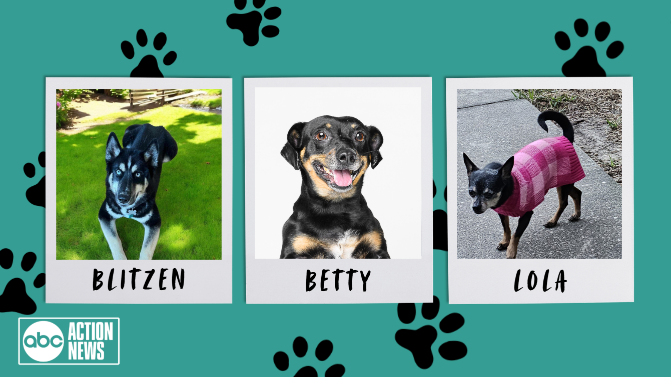 Blitzen, Betty and Lola