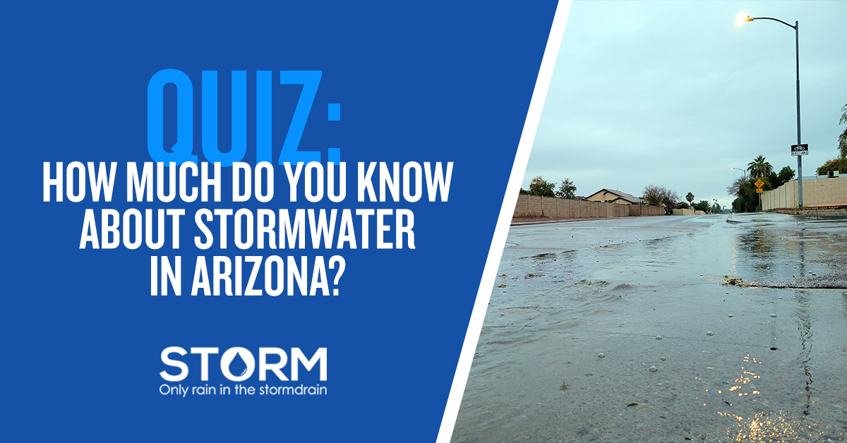 STORM Quiz 2024 