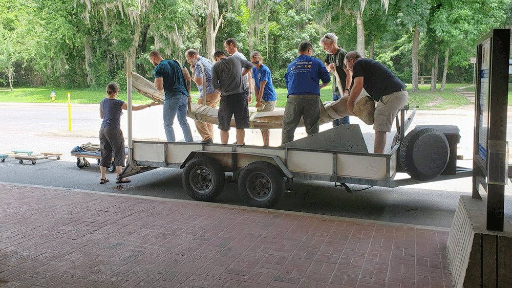 WPTV-WHALE-MANDIBLE.jpg