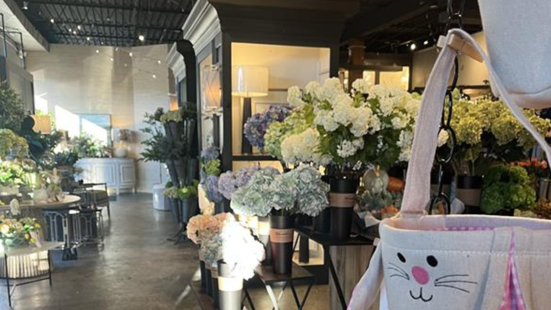 Featured Image Custom Edit (14).png