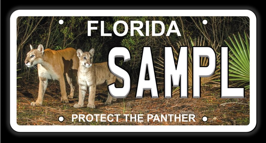 Panther Plate
