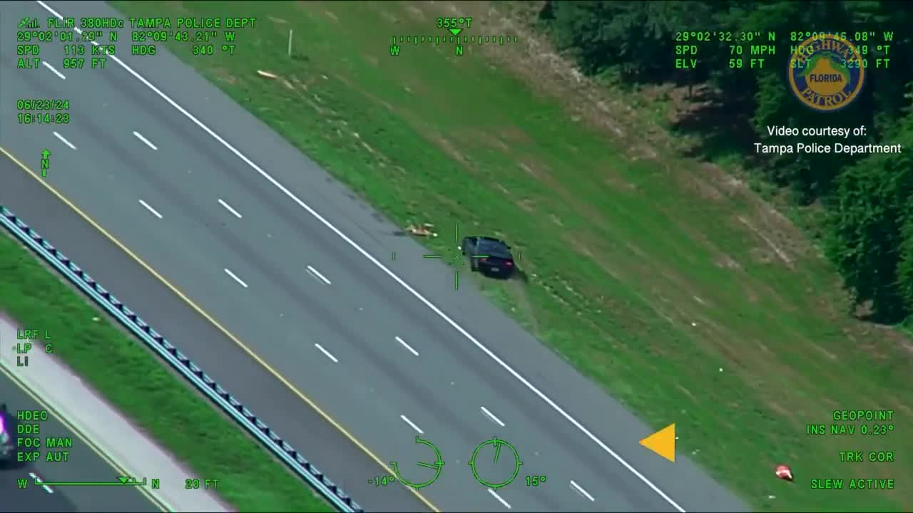 fhp chase.png