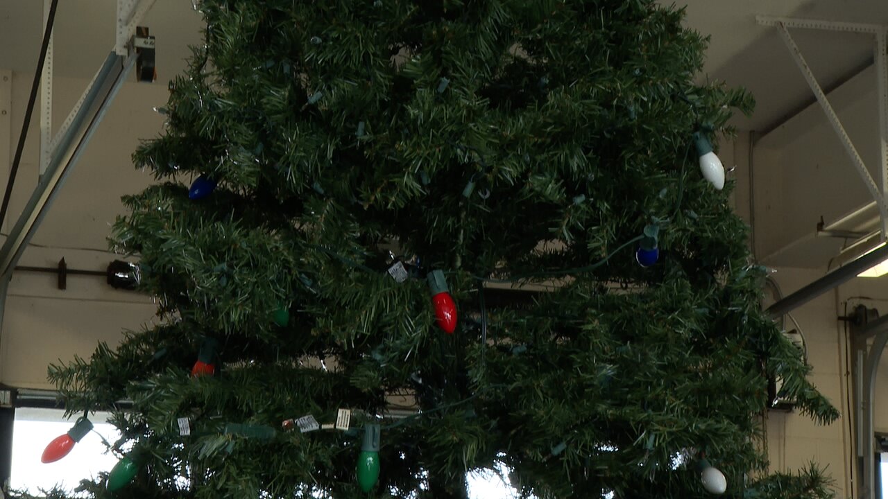 Disposing Christmas trees