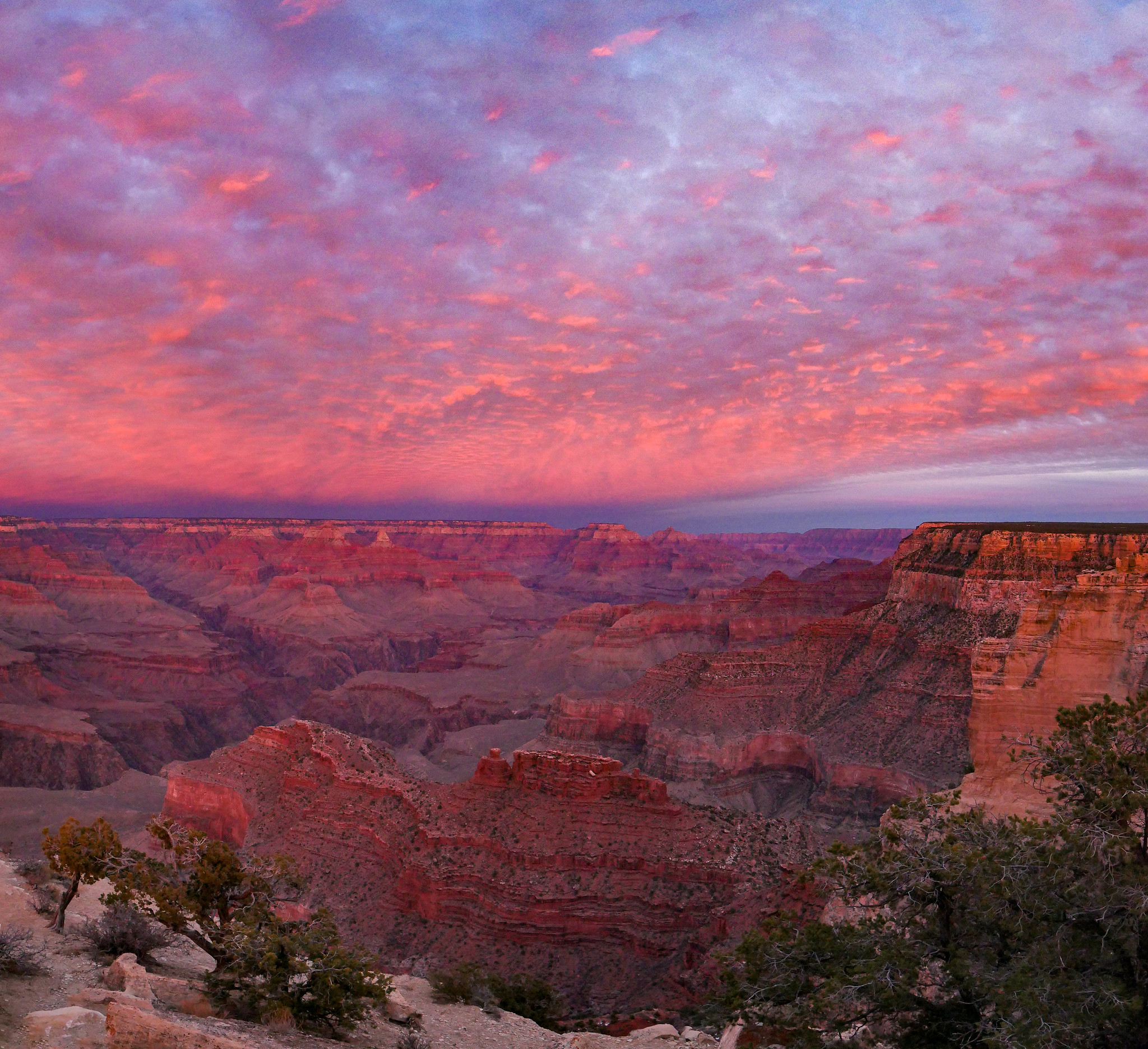 Grand Canyon National Park - 2021.jpg