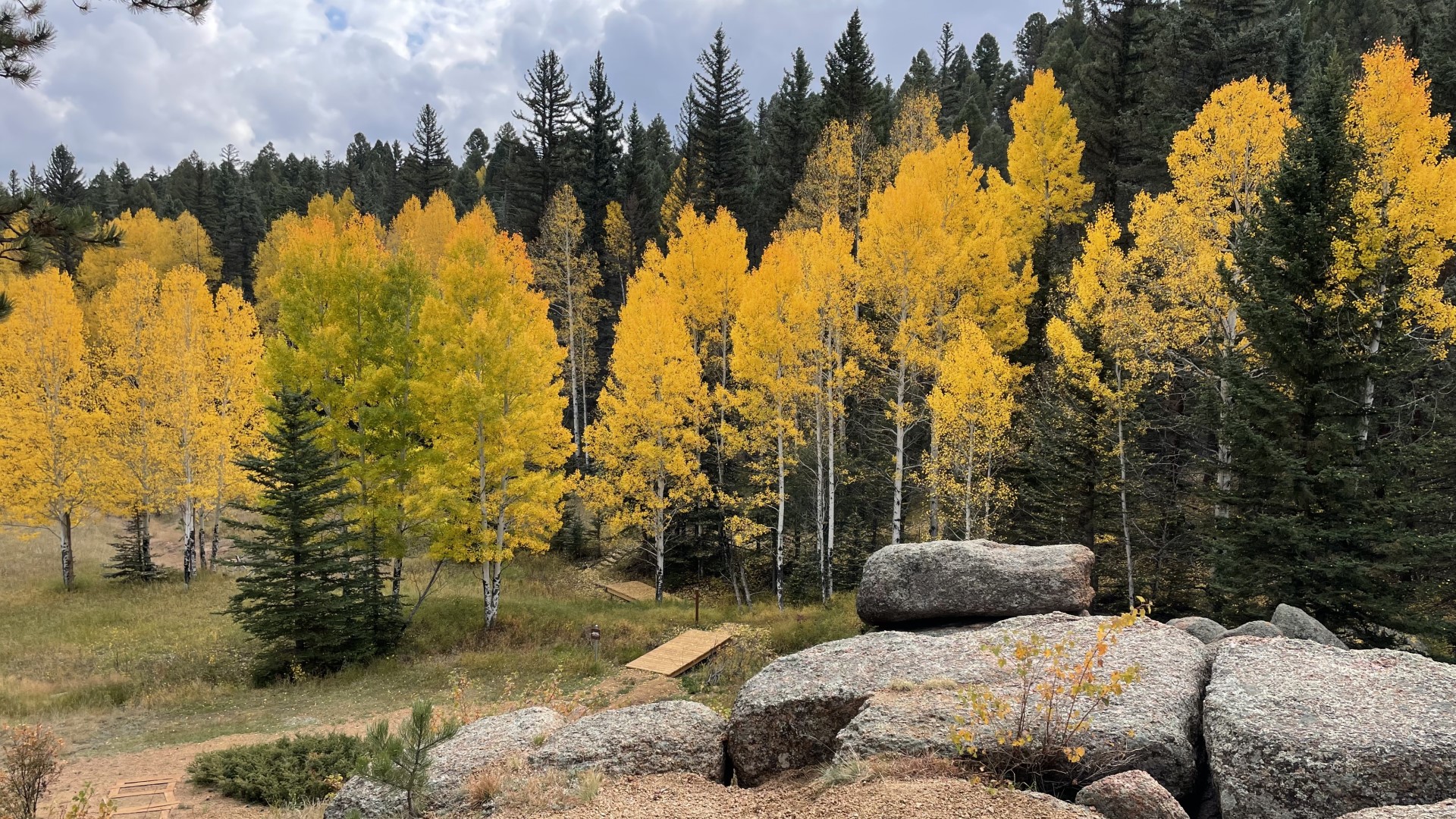 Florissant Fossil Beds