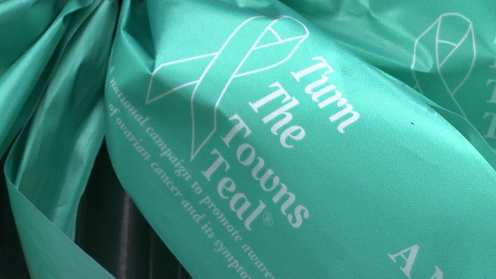 turn the town teal 2022
