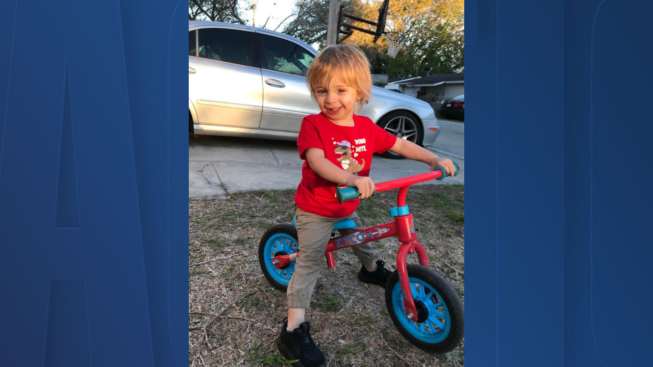 child dog attack.png