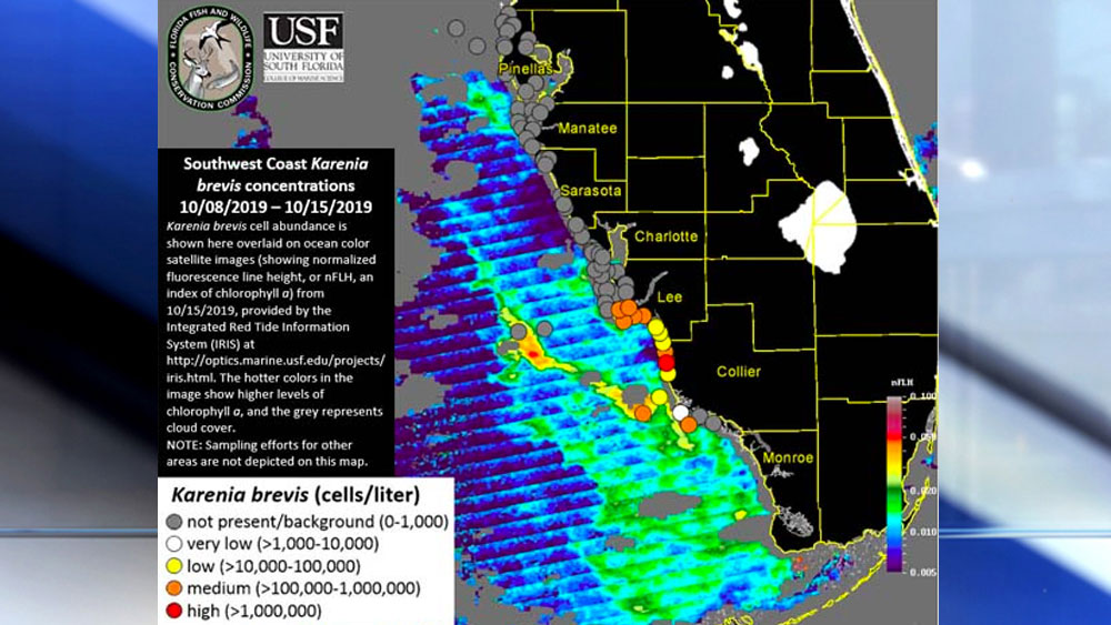 wptv-red-tide-map.jpg