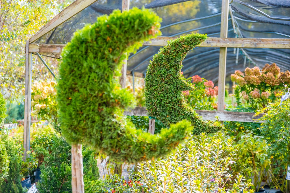 Moon Valley Nurseries.jpg