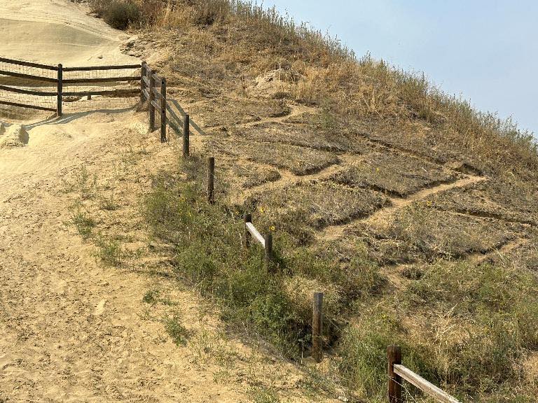 Camel’s Back Reserve Hillside Vandalism