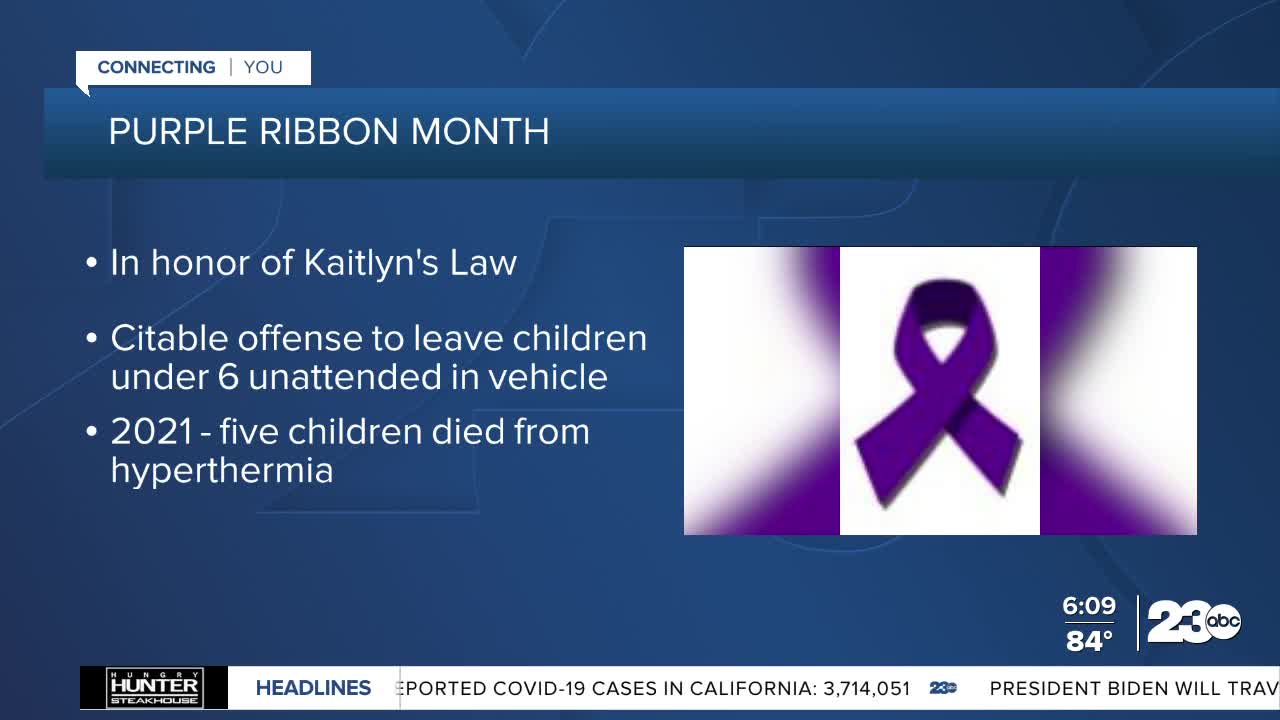 Purple Ribbon Month