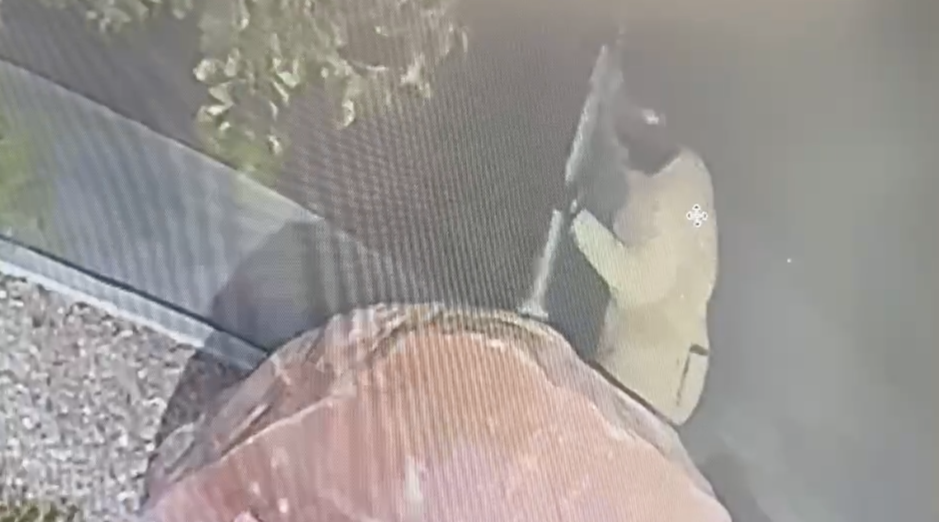 Plaque stolen from Las Vegas charity, police seek help identifying suspect