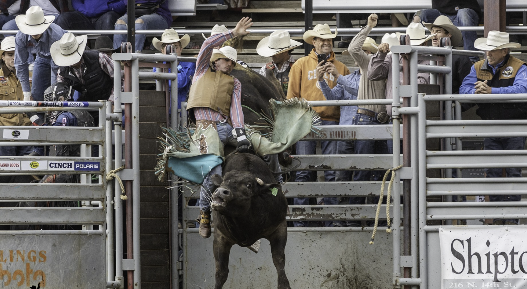 Jackson Ward Red Lodge Xtreme Bulls