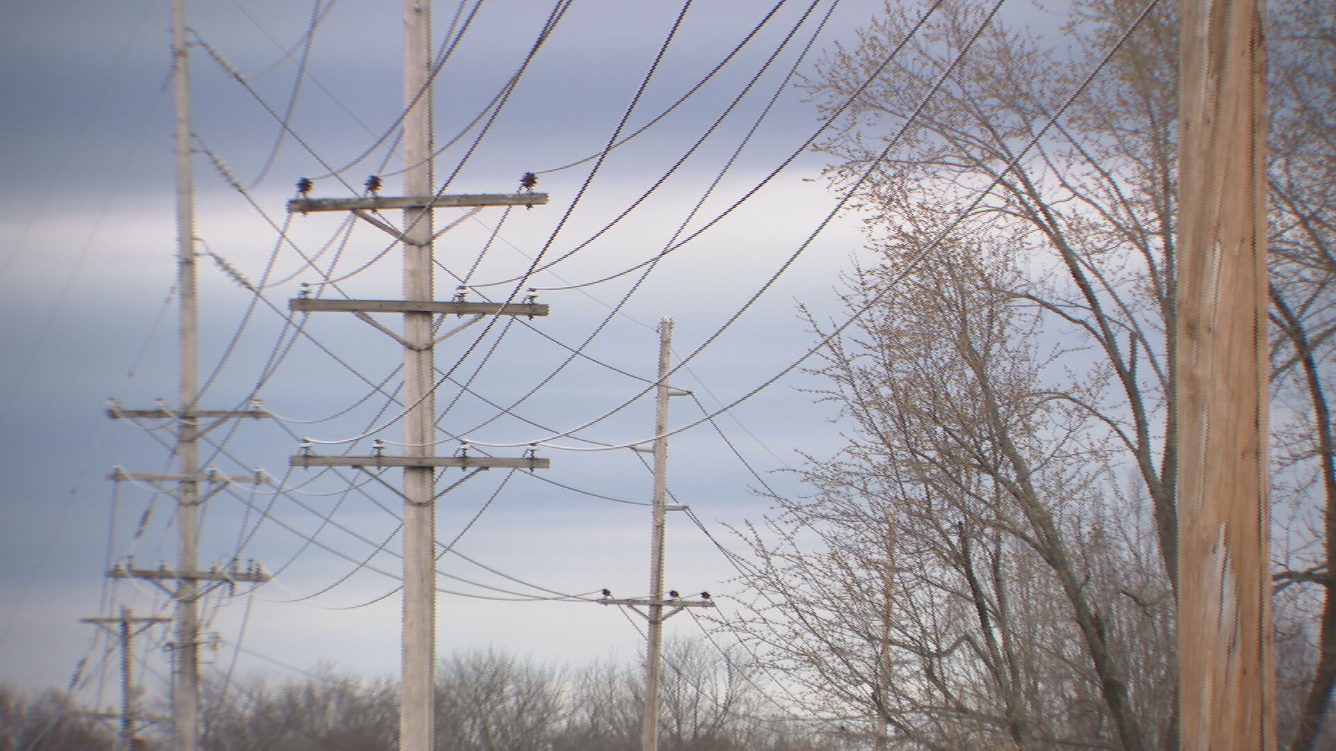 Power lines 