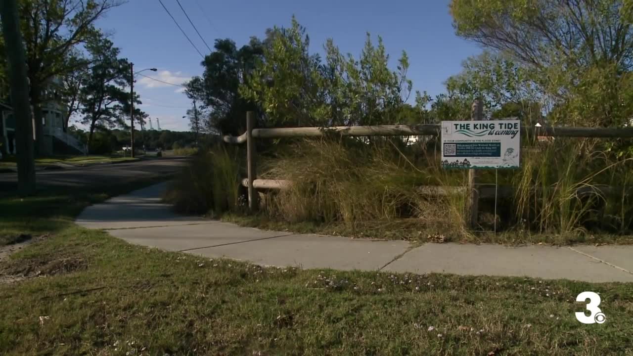 Poster image (58).jpg