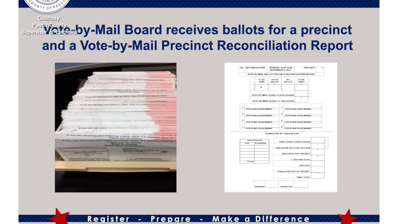 vote by mail