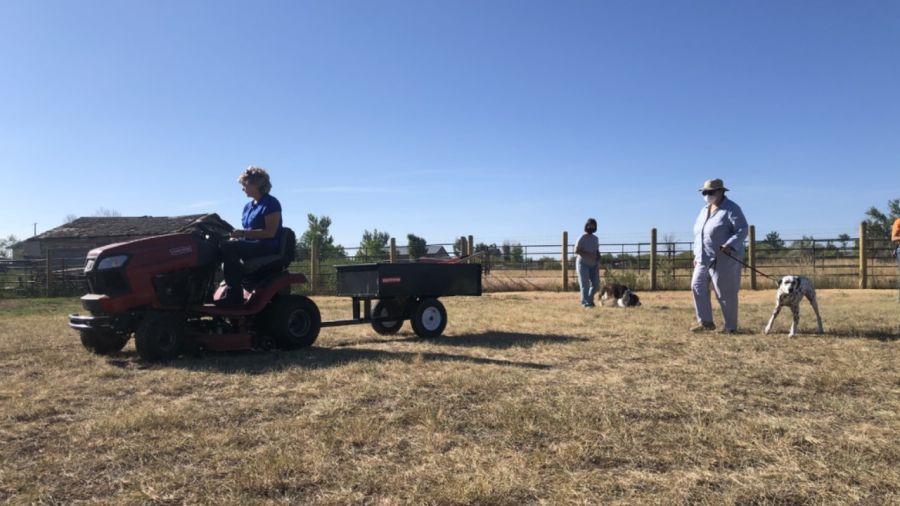 Great Falls woman offers farm dog training