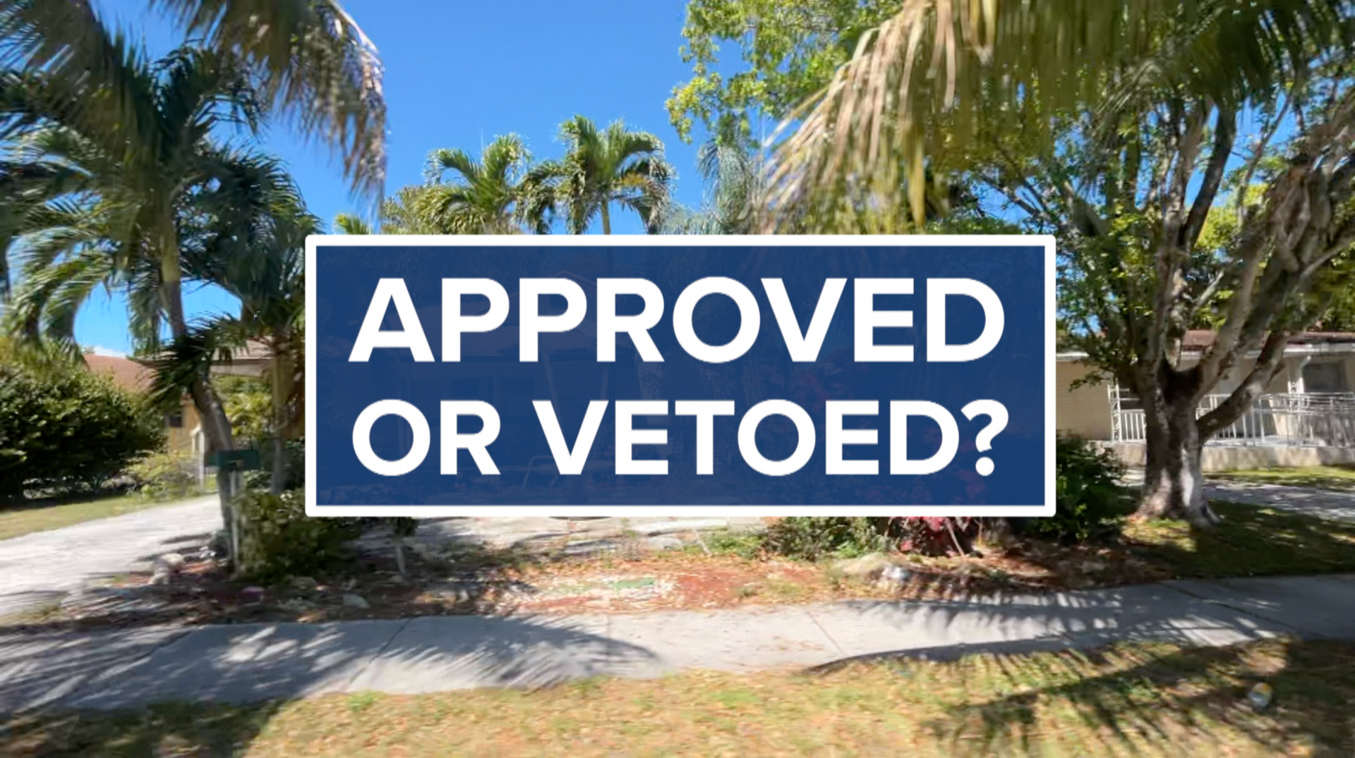 approved or vetoed.png