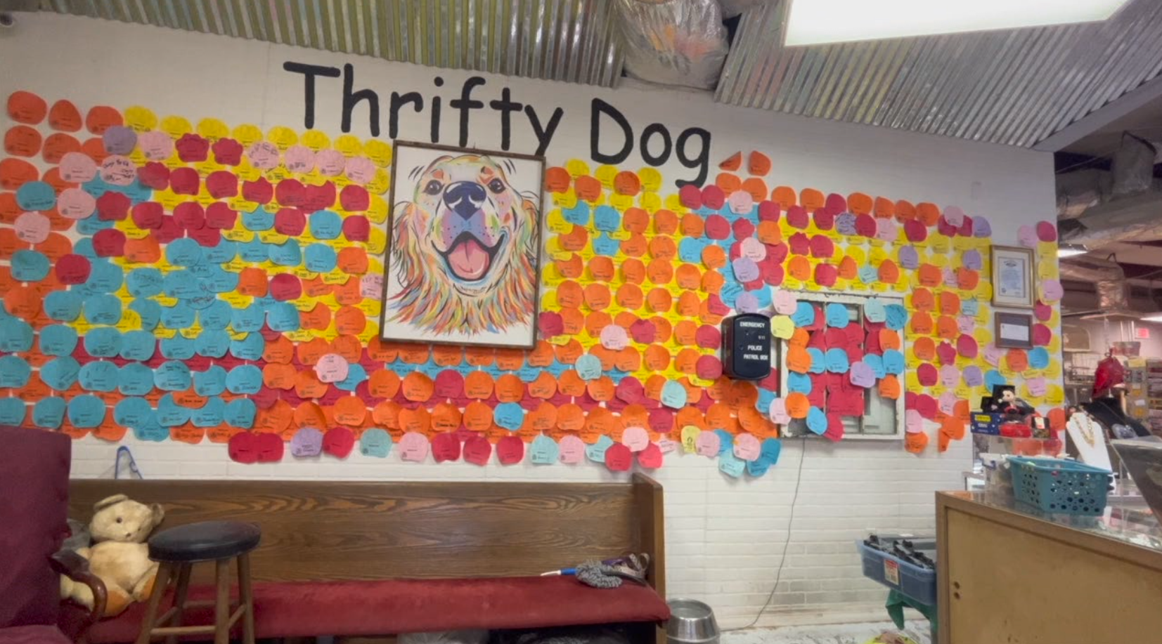 Thrifty Dog