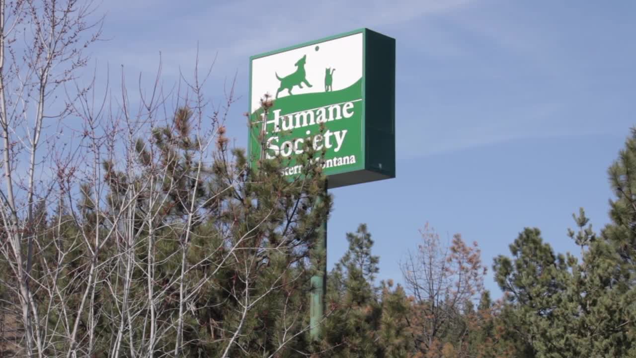 Humane Society of Western Montana