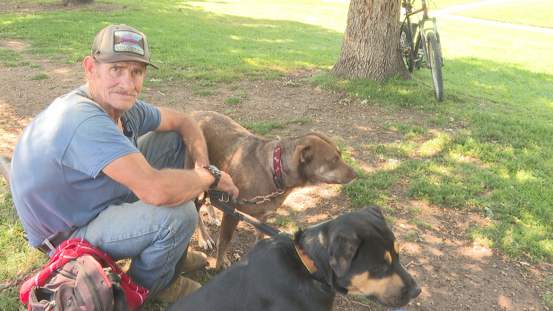 A "paw-sitive" impact for the homeless community and their furry friends 