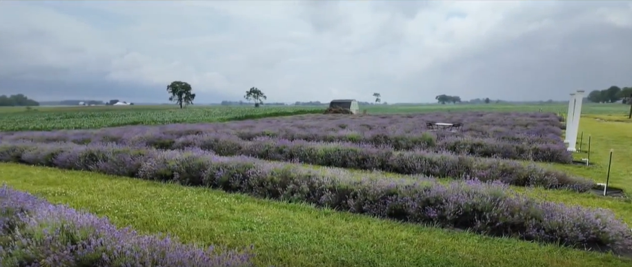 Screenshot 2025-06-17 202226.png