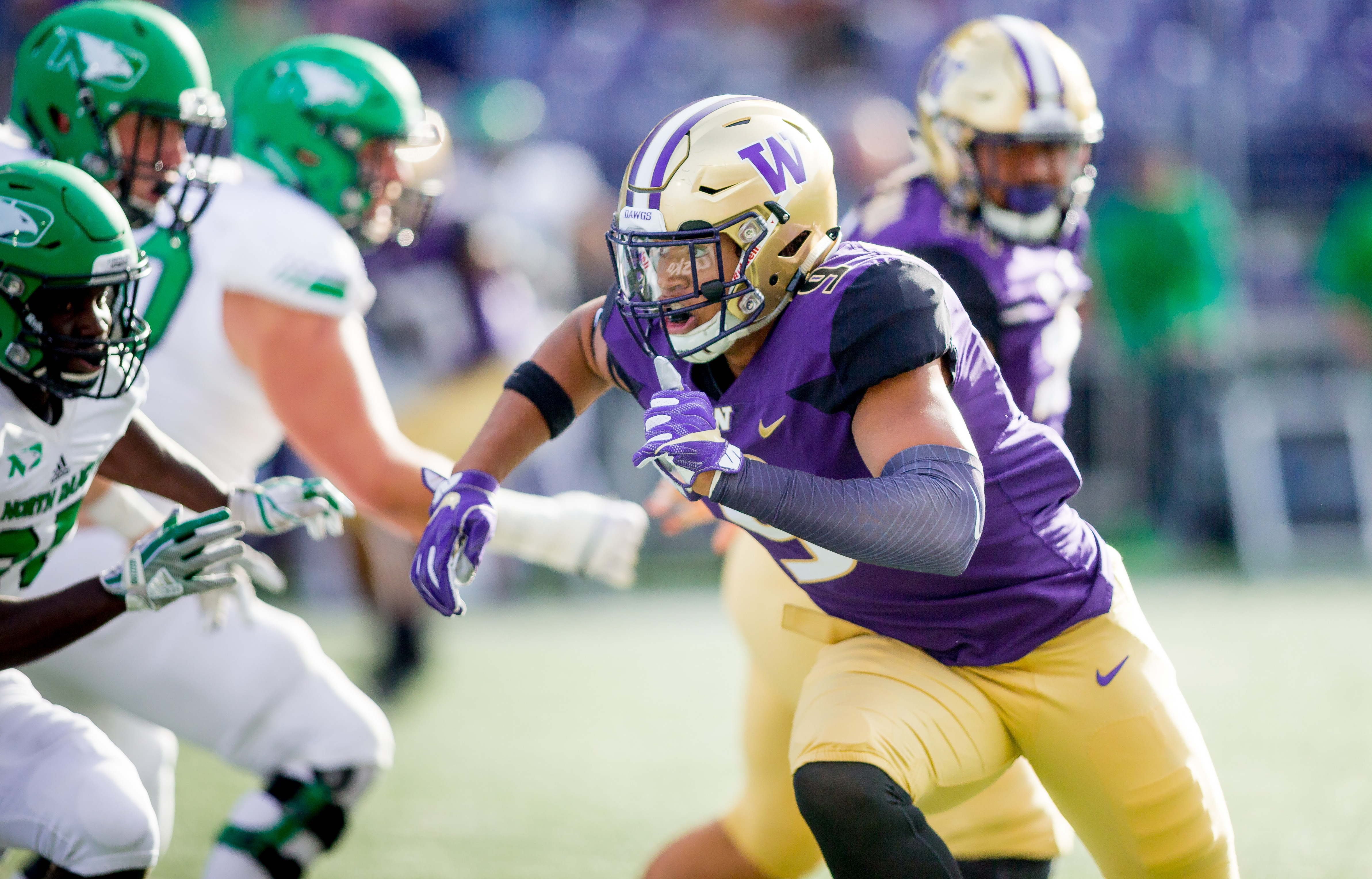 The University of Washington football team plays North Dakota