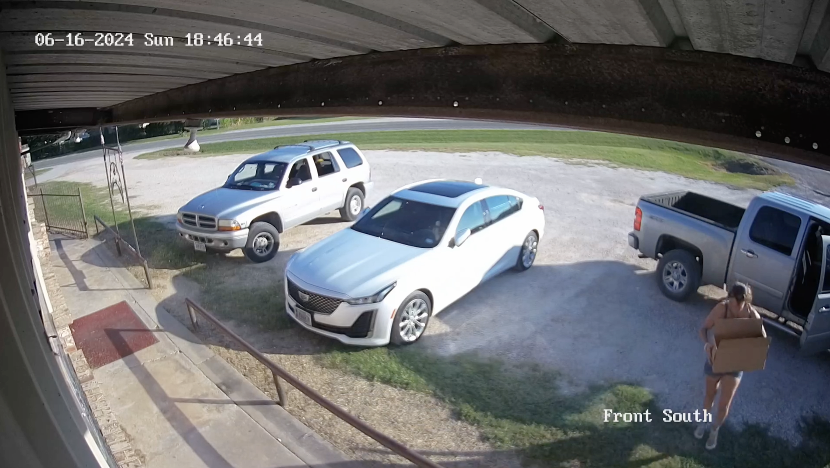 Burleson County residents outraged after puppies dumped outside business Sunday, police looking for culprit